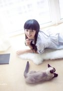 猫百科