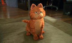 猫百科